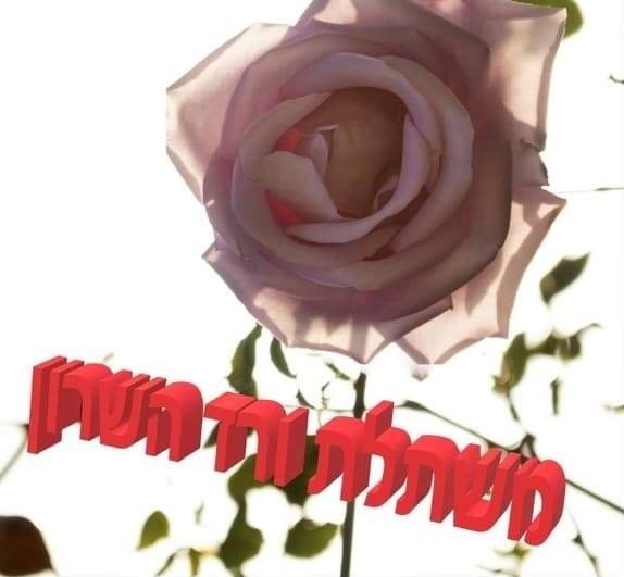 משתלת ורד השרון
