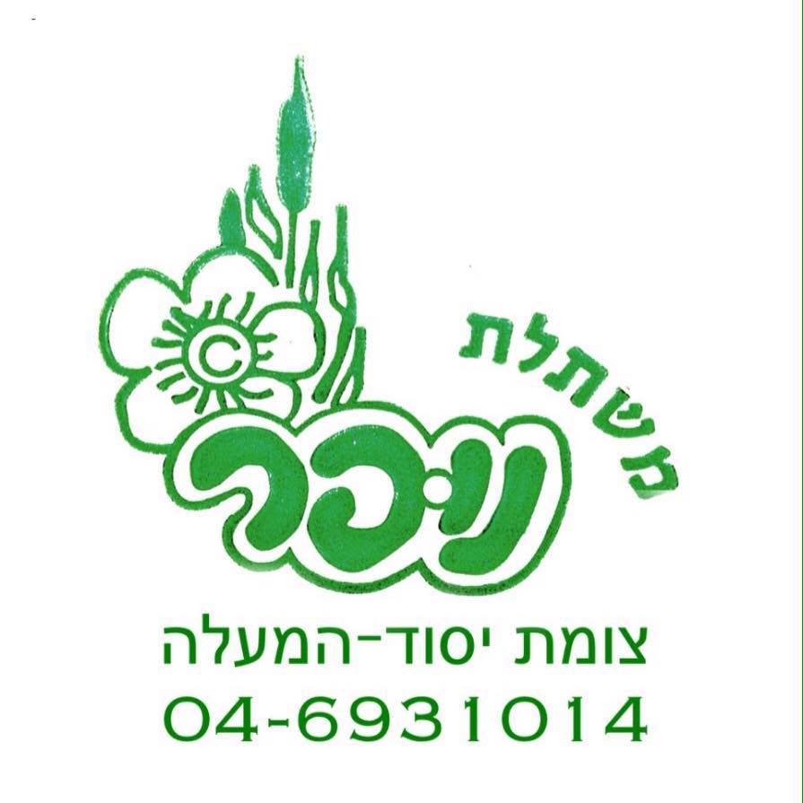 משתלת נופר